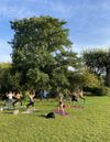 📢 Calling all yogis in the Clissold Park area! The countdown is on! Two new classes coming your way from April 1st - Thursday lunchtime and Saturday morning 🍃
You can already book in: https://bua.fit/u/Simone_Yoga/classes