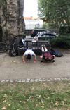 BUA FIT