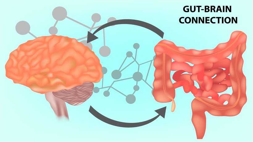 5 Surprising Ways Gut Health Impacts Your Mental Well-being
